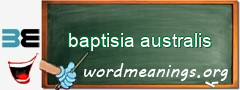 WordMeaning blackboard for baptisia australis